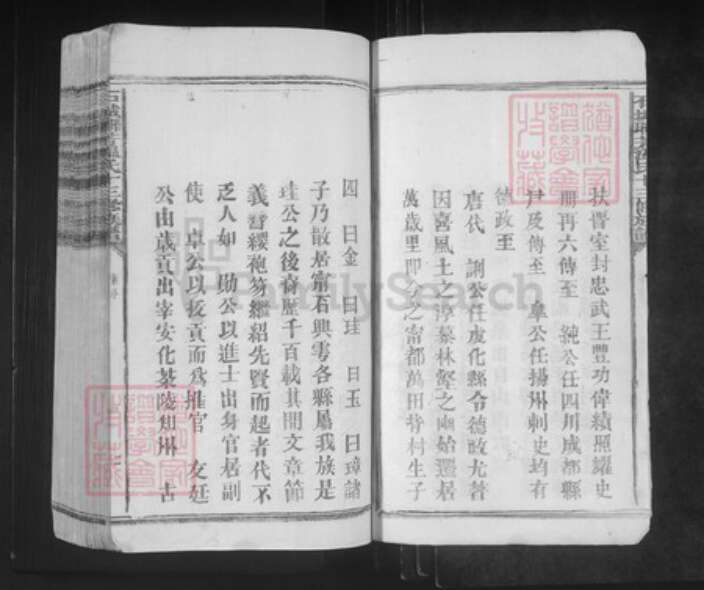 江西省赣州市石城县琴江镇温氏族谱-石城联芳温氏十三修族谱.pdf电子版预览图2