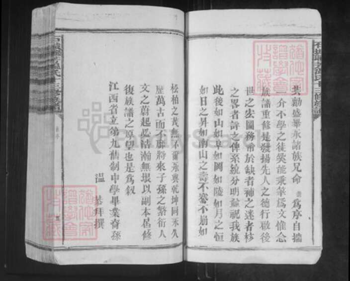 江西省赣州市石城县琴江镇温氏族谱-石城联芳温氏十三修族谱.pdf电子版预览图4