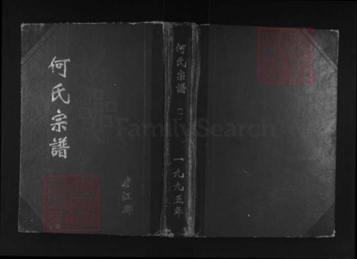 上海市金山区山阳镇何氏三高堂族谱-何氏宗谱.pdf电子版缩略图