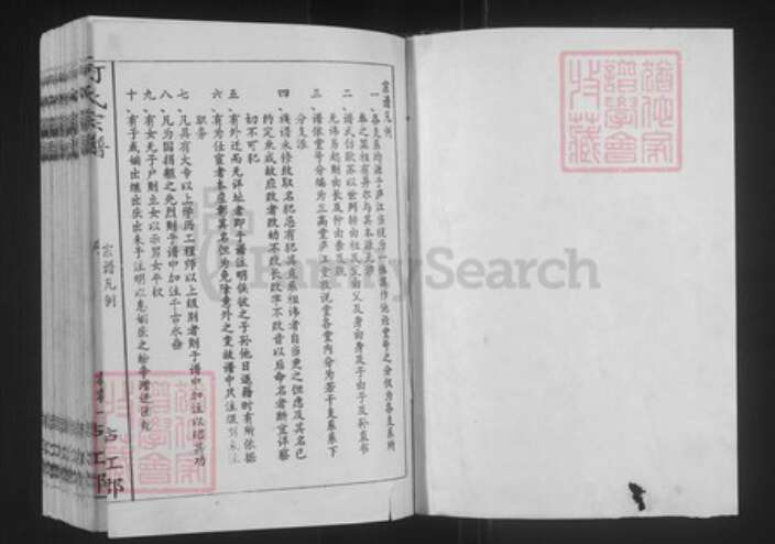 上海市金山区山阳镇何氏三高堂族谱-何氏宗谱.pdf电子版预览图1