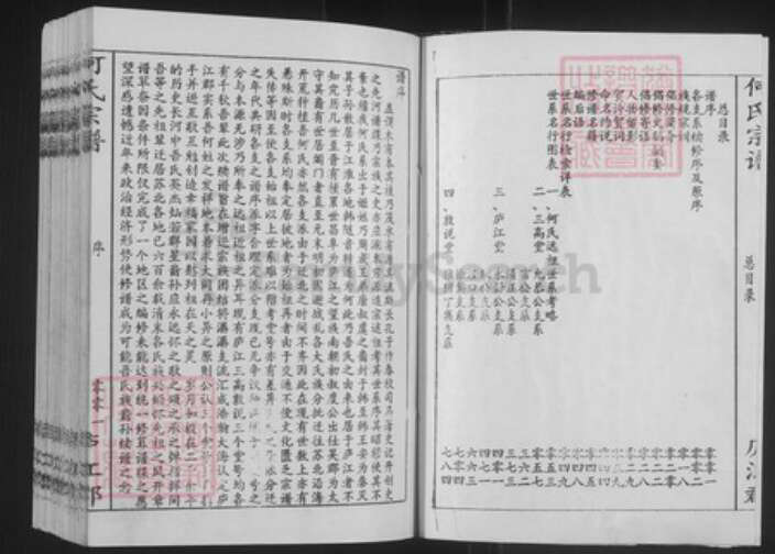 上海市金山区山阳镇何氏三高堂族谱-何氏宗谱.pdf电子版预览图2