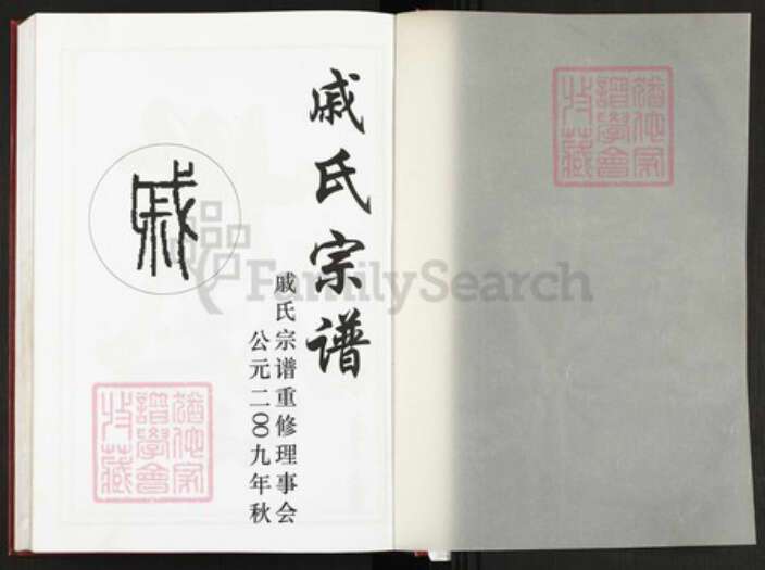 浙江省金华市婺城区戚氏务本堂族谱-戚氏宗谱.pdf电子版预览图1