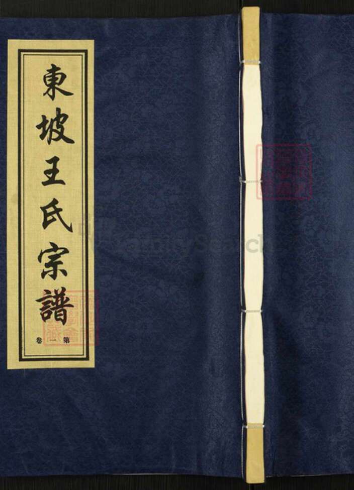 江苏省常州市溧阳市上黄镇王氏德厚堂族谱-东坡王氏宗谱.pdf电子版缩略图