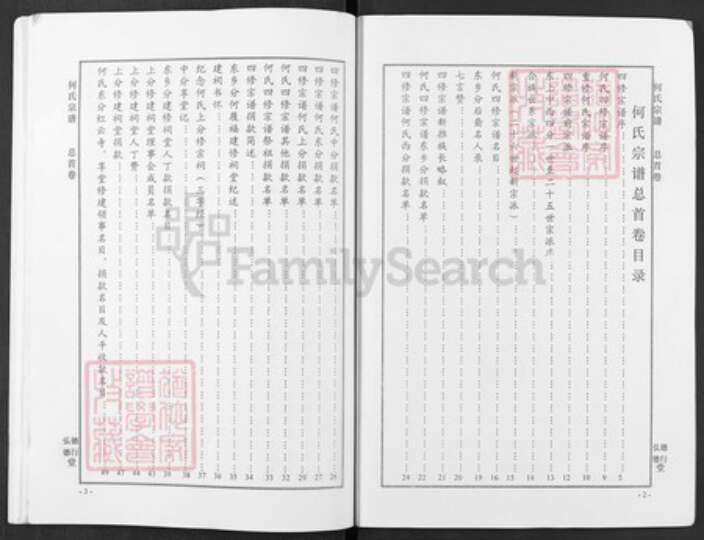 湖北省武汉市新洲区何氏弘德堂族谱-何氏宗谱.pdf电子版预览图2