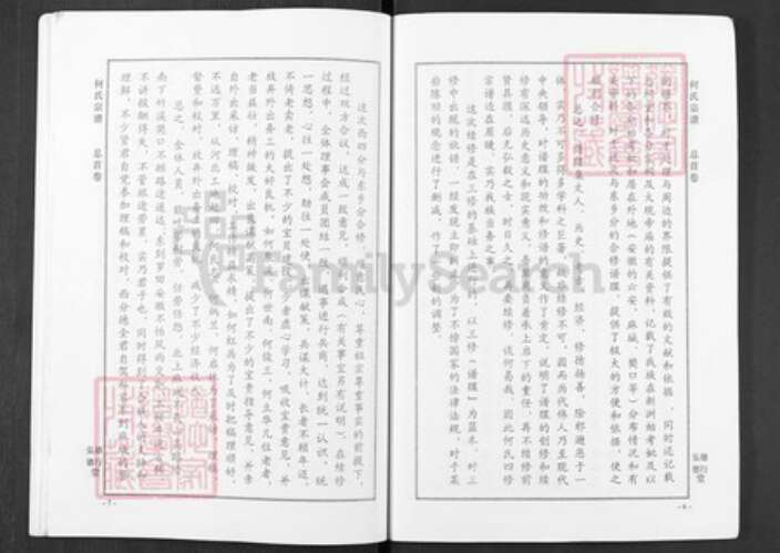 湖北省武汉市新洲区何氏弘德堂族谱-何氏宗谱.pdf电子版预览图4