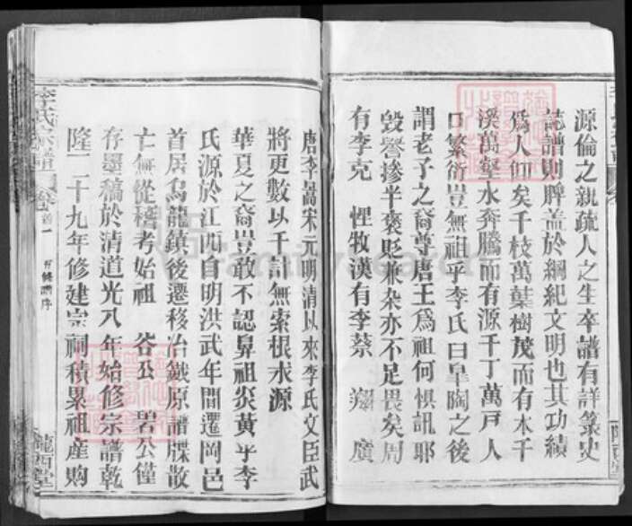 湖北省武汉市新洲区李氏陇西堂族谱-李氏宗谱.pdf电子版预览图2