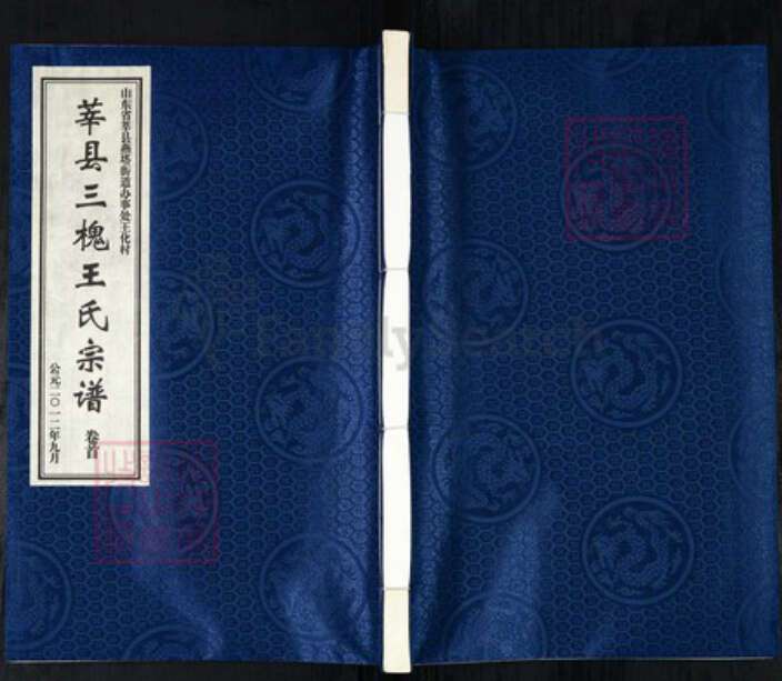 山东省聊城市莘县王氏三槐堂族谱-莘县三槐王氏宗谱.pdf电子版缩略图