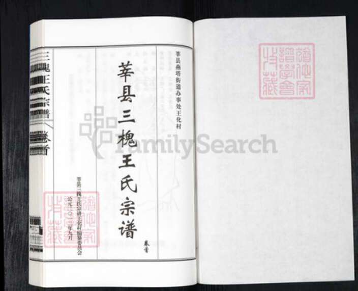 山东省聊城市莘县王氏三槐堂族谱-莘县三槐王氏宗谱.pdf电子版预览图1