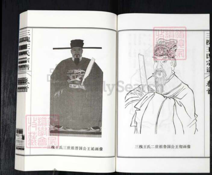 山东省聊城市莘县王氏三槐堂族谱-莘县三槐王氏宗谱.pdf电子版预览图3