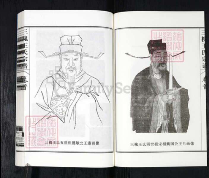 山东省聊城市莘县王氏三槐堂族谱-莘县三槐王氏宗谱.pdf电子版预览图4