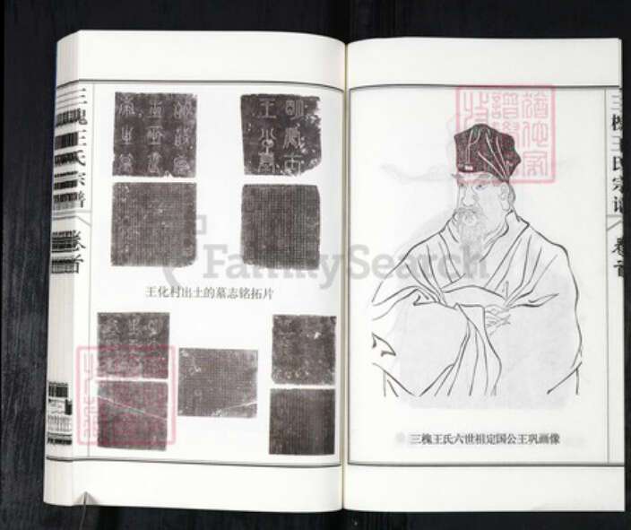 山东省聊城市莘县王氏三槐堂族谱-莘县三槐王氏宗谱.pdf电子版预览图5