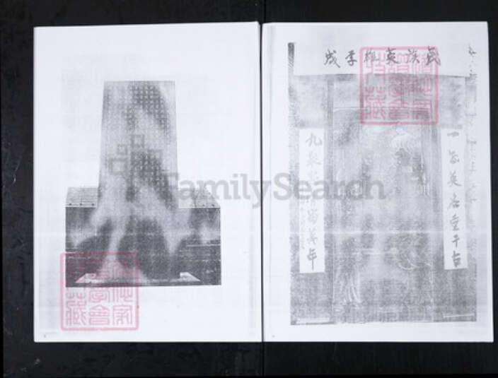 山东省泰安市新泰市李氏族谱-东蒙李氏族谱.续辑[6卷首1卷].pdf电子版预览图2