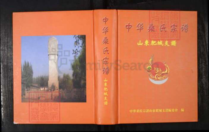 山东省泰安市肥城市桑氏族谱-中华桑氏宗谱.肥城支谱.pdf电子版缩略图