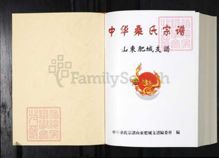 山东省泰安市肥城市桑氏族谱-中华桑氏宗谱.肥城支谱.pdf电子版预览图1