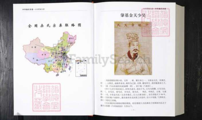 山东省泰安市肥城市桑氏族谱-中华桑氏宗谱.肥城支谱.pdf电子版预览图2