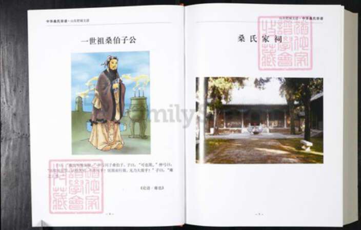 山东省泰安市肥城市桑氏族谱-中华桑氏宗谱.肥城支谱.pdf电子版预览图3