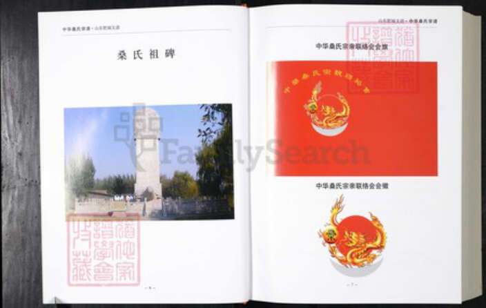 山东省泰安市肥城市桑氏族谱-中华桑氏宗谱.肥城支谱.pdf电子版预览图4