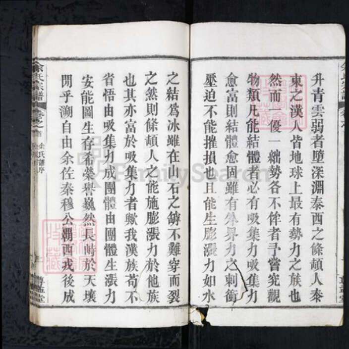 湖北省武汉市新洲区余氏族谱-余氏宗谱[4卷首1卷].pdf电子版预览图2