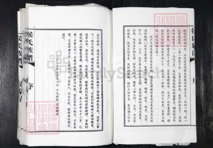 山东省青岛市平度市侯氏族谱-侯氏族谱.pdf电子版预览图4