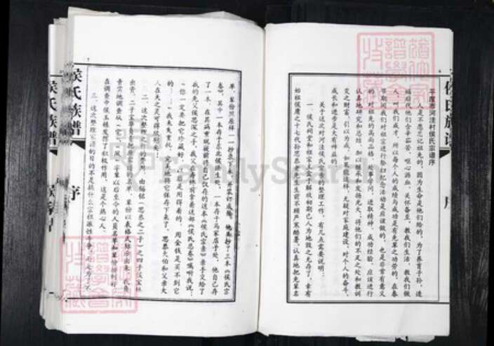 山东省青岛市平度市侯氏族谱-侯氏族谱.pdf电子版预览图5