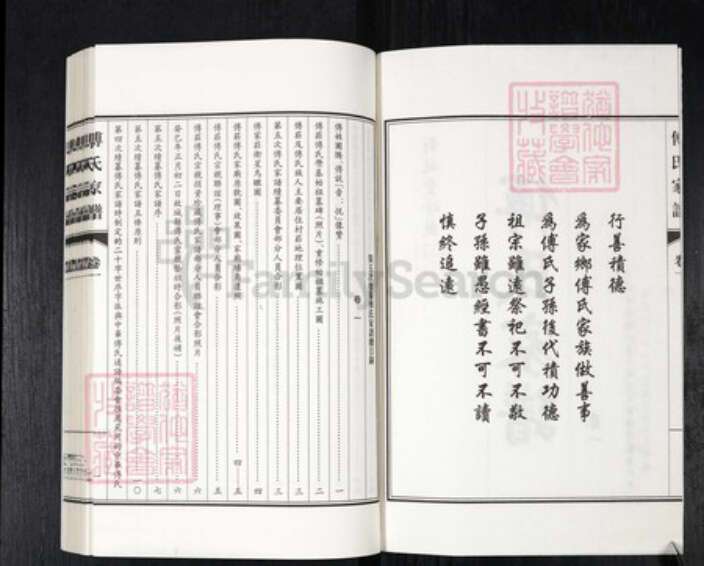 河北省衡水市故城县傅氏族谱-傅氏家谱.pdf电子版预览图2