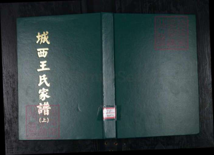 山东省青岛市王氏族谱-城西王氏家谱 山东青岛城西村.pdf电子版缩略图