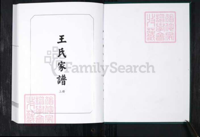 山东省青岛市王氏族谱-城西王氏家谱 山东青岛城西村.pdf电子版预览图1