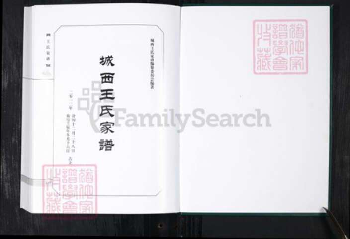 山东省青岛市王氏族谱-城西王氏家谱 山东青岛城西村.pdf电子版预览图2