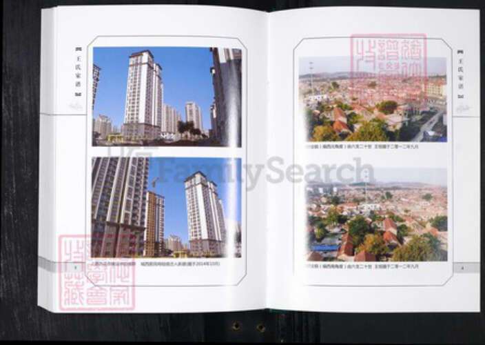 山东省青岛市王氏族谱-城西王氏家谱 山东青岛城西村.pdf电子版预览图4