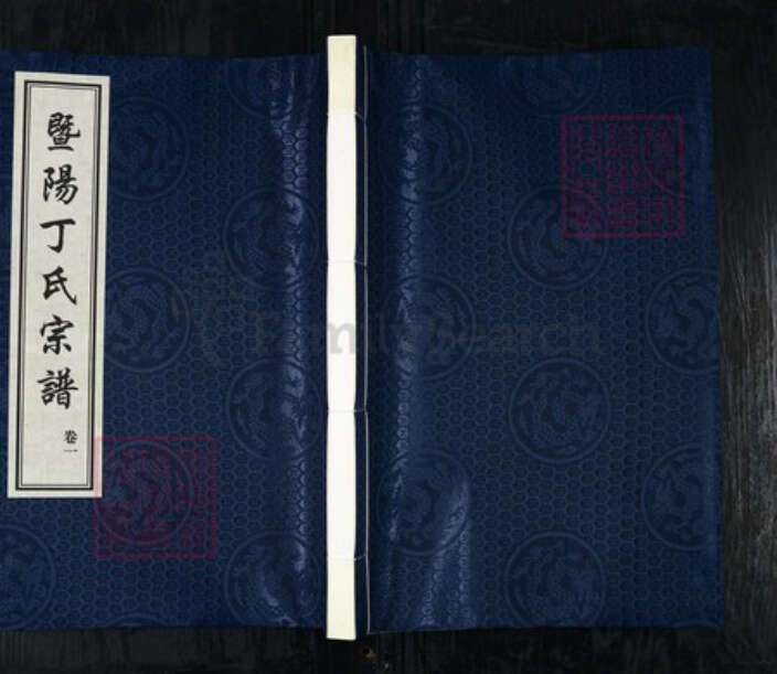 浙江省绍兴诸暨市诸暨丁氏刻木堂族谱-暨阳丁氏宗谱.pdf电子版缩略图