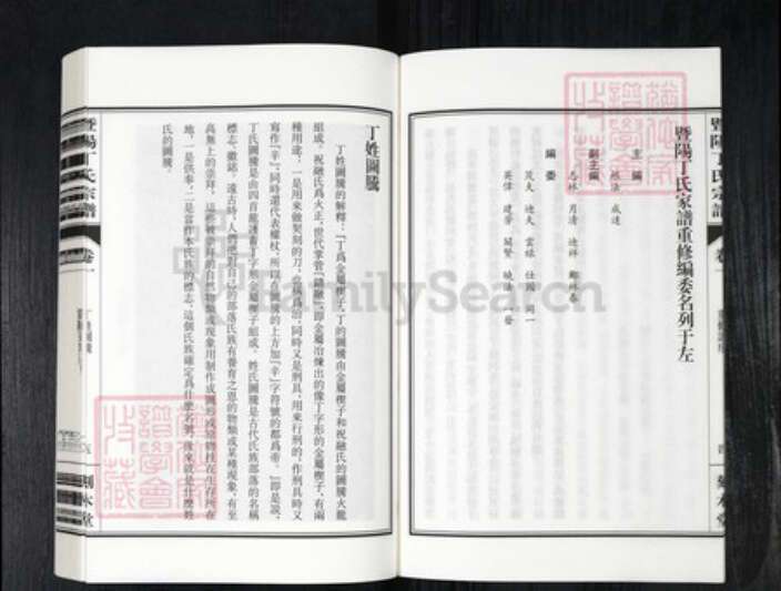 浙江省绍兴诸暨市诸暨丁氏刻木堂族谱-暨阳丁氏宗谱.pdf电子版预览图5