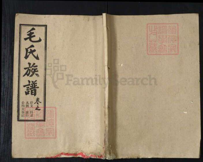湖北省武汉市新洲区毛氏授诗堂族谱-毛氏族谱.pdf电子版缩略图