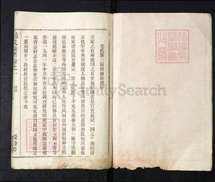 湖北省武汉市新洲区毛氏授诗堂族谱-毛氏族谱.pdf电子版预览图2