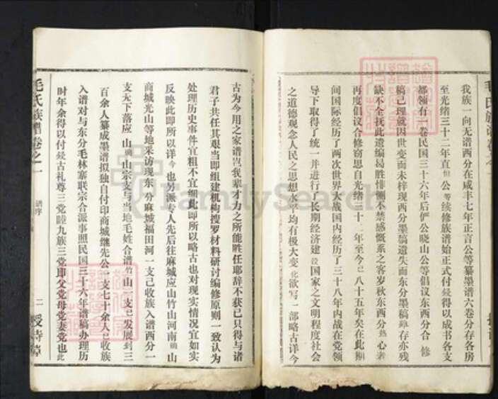 湖北省武汉市新洲区毛氏授诗堂族谱-毛氏族谱.pdf电子版预览图3