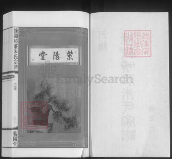 江苏省镇江市丹阳市云阳街道朱氏紫阳堂族谱-练湖晓庄朱氏家谱.pdf电子版预览图3