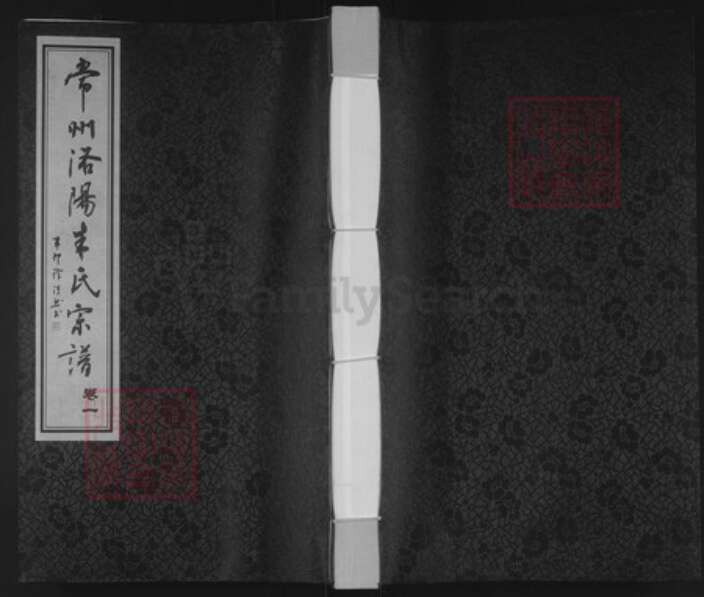 江苏省常州市武进县洛阳镇朱氏固德堂族谱-常州洛阳朱氏宗谱.pdf电子版缩略图