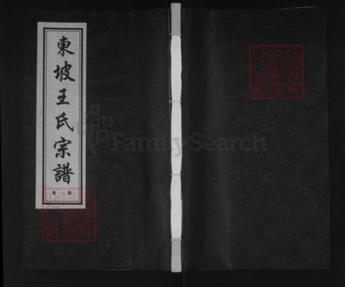 江苏省常州市溧阳市王氏德厚堂族谱-东坡王氏宗谱.pdf电子版缩略图