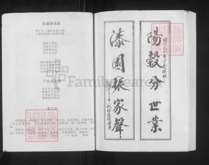 安徽省亳州市蒙城县安徽省亳州市蒙城县坛城镇丁氏亦政堂族谱-丁氏宗谱.pdf电子版预览图2