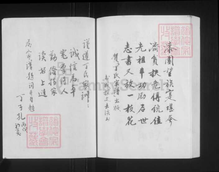 安徽省亳州市蒙城县安徽省亳州市蒙城县坛城镇丁氏亦政堂族谱-丁氏宗谱.pdf电子版预览图3