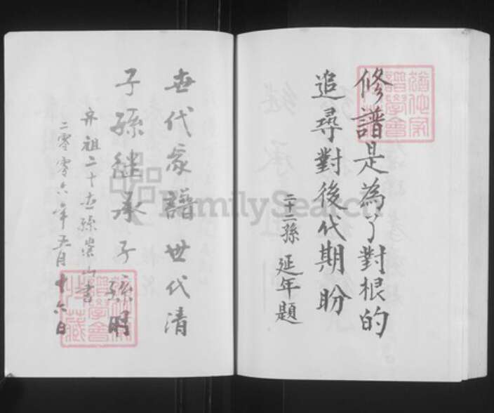 安徽省亳州市蒙城县安徽省亳州市蒙城县坛城镇丁氏亦政堂族谱-丁氏宗谱.pdf电子版预览图4