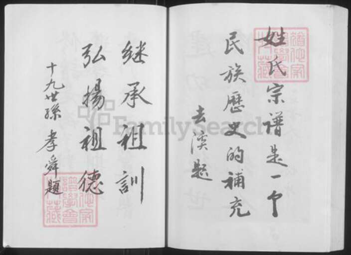 安徽省亳州市蒙城县安徽省亳州市蒙城县坛城镇丁氏亦政堂族谱-丁氏宗谱.pdf电子版预览图5