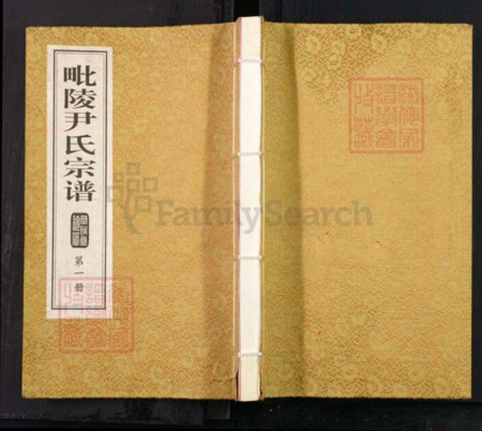 江苏省常州市天宁区尹氏承启堂族谱-毗陵尹氏宗谱.pdf电子版缩略图