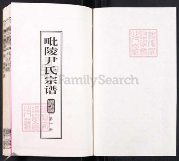 江苏省常州市天宁区尹氏承启堂族谱-毗陵尹氏宗谱.pdf电子版预览图1