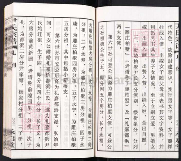 江苏省常州市天宁区尹氏承启堂族谱-毗陵尹氏宗谱.pdf电子版预览图5