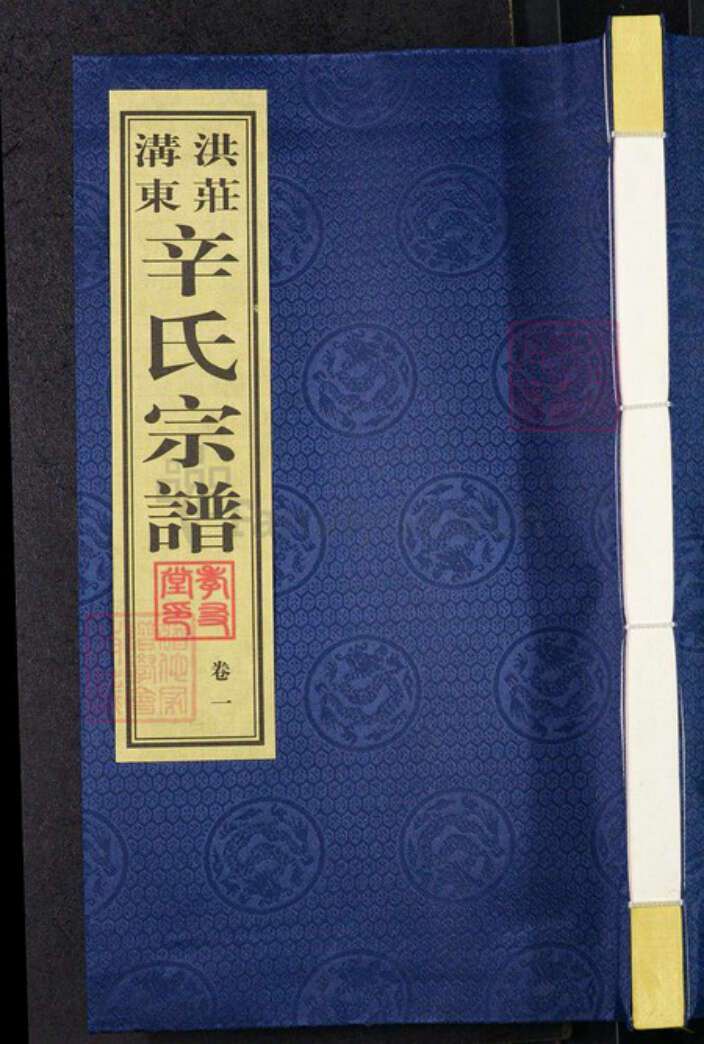 江苏省常州市武进县遥观镇辛氏孝友堂族谱-洪庄沟东辛氏宗谱.pdf电子版缩略图