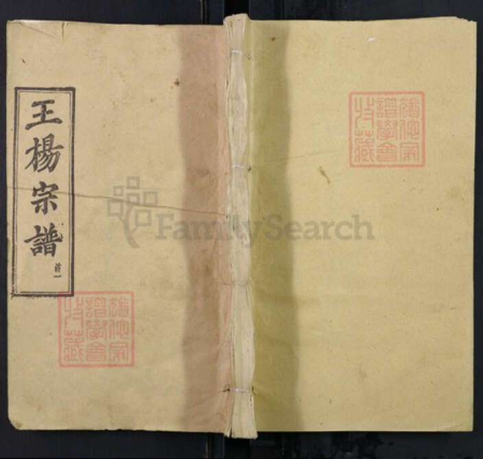 湖北省黄冈市浠水县散花镇王氏三槐堂族谱-王杨宗谱.pdf电子版缩略图