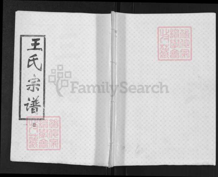 湖北省孝感市汉川市王氏三槐堂族谱-王氏宗谱.pdf电子版缩略图