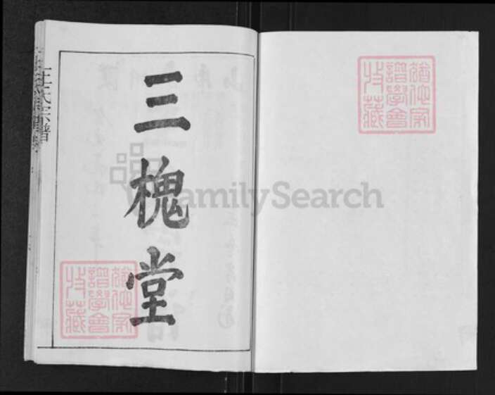 湖北省孝感市汉川市王氏三槐堂族谱-王氏宗谱.pdf电子版预览图1