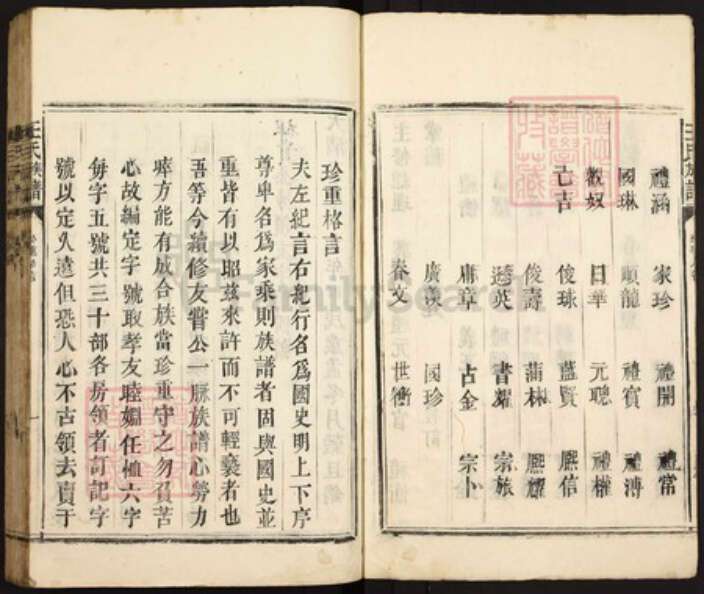 广东省湛江市遂溪县王氏族谱-王氏族谱.pdf电子版预览图2