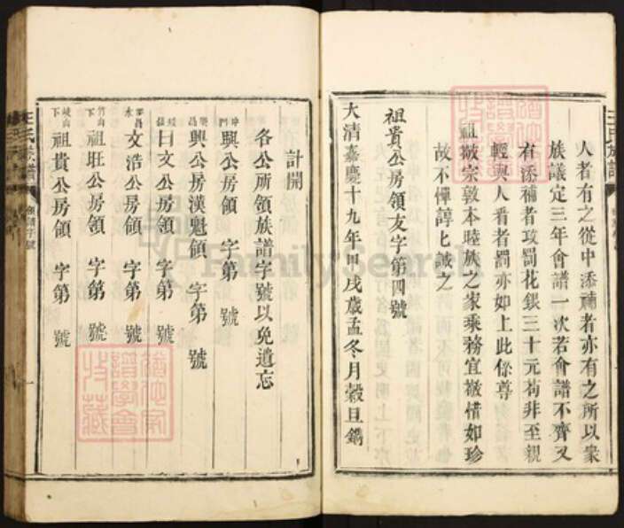 广东省湛江市遂溪县王氏族谱-王氏族谱.pdf电子版预览图3